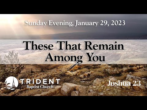 2023 01 29 PM   These That Remain Among You