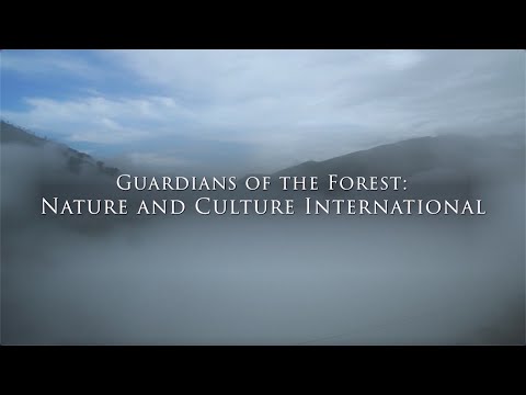 The Visionaries Presents: Guardians of the Forest