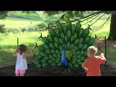 download lagu mp3 mp4 Nature Connects Art With Lego Bricks, download mp3 Nature Connects Art With Lego Bricks free download, download mp3 Nature Connects Art With Lego Bricks