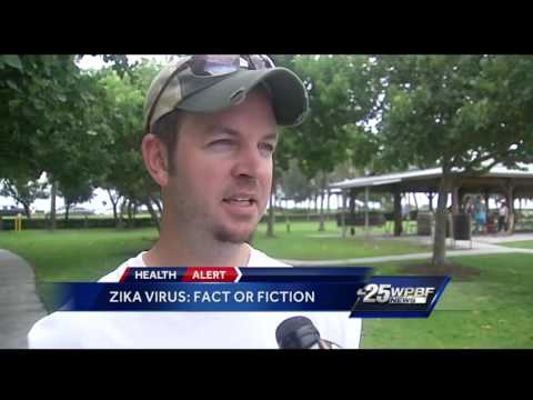 Zika virus: Fact or fiction