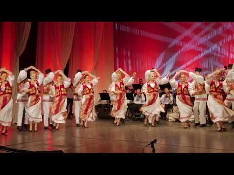 Ansamblul Timisul - Dans din Banatul montan