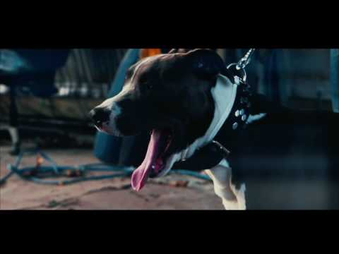 Kalboz ft Andy - Sun Na Nalin (Official Video)