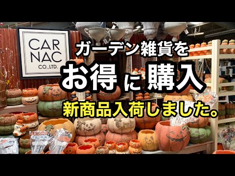 園芸 ノアの庭園