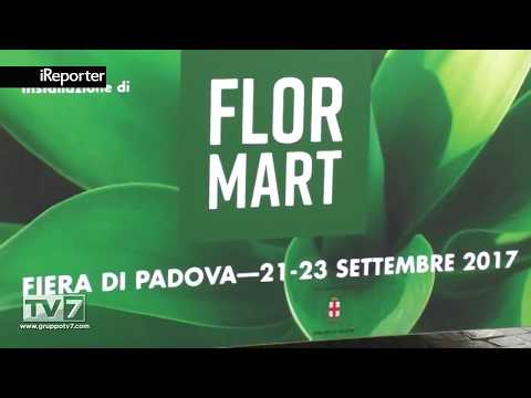 Tv7 Triveneta - Flormart 2017