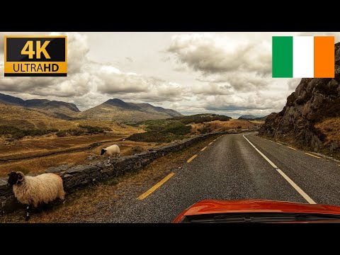 Scenic Drive in the Killarney National Park | Ireland - Ring of Kerry | 4k Ultra HD