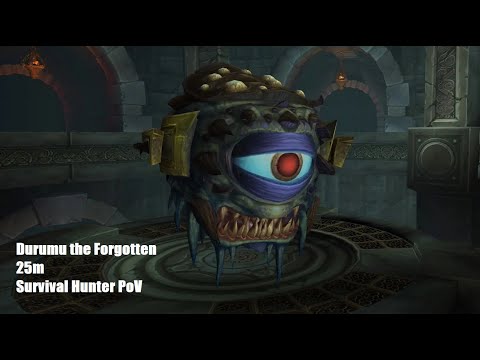 Durumu the Forgotten Heroic 25m | Throne of Thunder | Survival Hunter PoV | Mist of Pandaria Classic