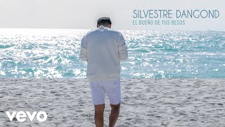 El Dueño de Tus Besos Music Video