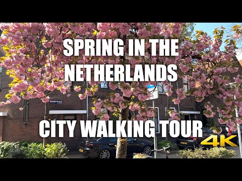 Amazing Eindhoven & Rotterdam Walking Tour (4K HDR 60 FPS) Netherlands Spring Ambiance