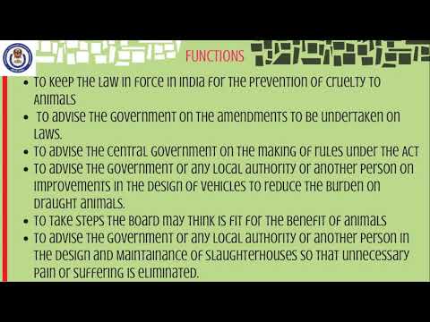 Voice No.16- "Animal Welfare"