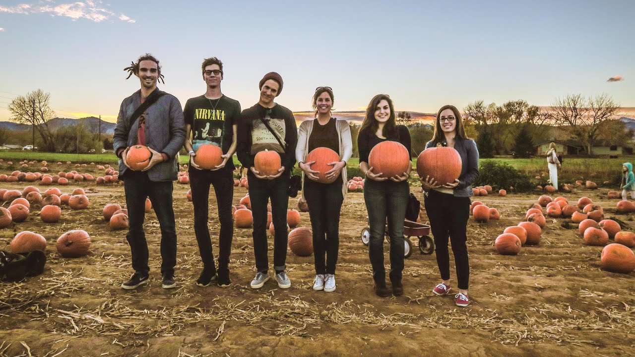 PICKING OUR PUMPKINS