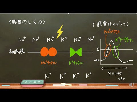 ゼロ点電位抽出器について詳しく解説