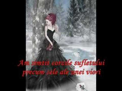 Veritasaga-Am un raspuns