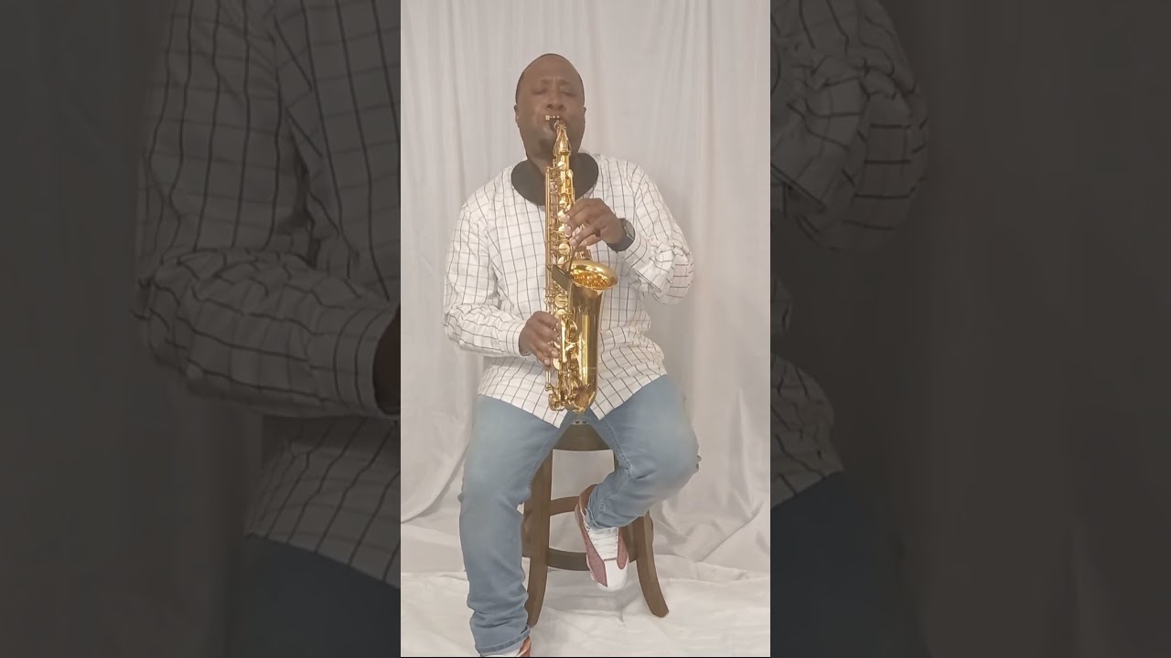 Promotional video thumbnail 1 for Veesax or A Saxual Experience