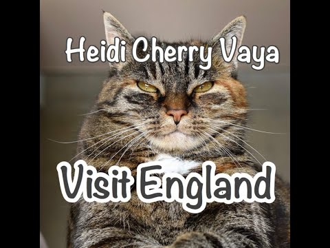 Fun Bedtime Story For Kids | Heidi, Cherry & Vaya Visit England