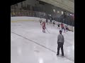 Alex Goldan varsity hockey highlights  (jr year)