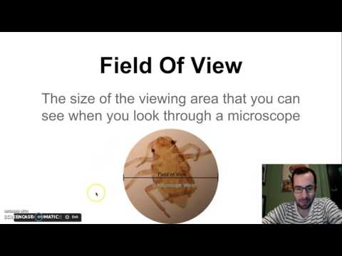 Microscopes & Field of view (Part1)