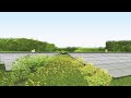 Raad Zeewolde geeft groen licht voor zonnepark Horsterwold, tegenstander Hans Brouwer reageert