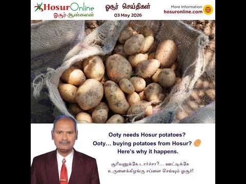 Hosur Potatoes Play Key Role in Supply to Ooty Region