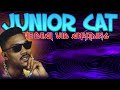 Junior Cat-We Deal Wid Anything