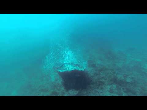 Narcosis 5/9/15 Pt. 2