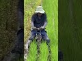 Japanese Agriculture Best Technology S Shots
