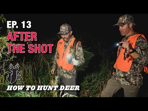 You Just Shot a Deer. What Next? How to Hunt Deer Ep. 13