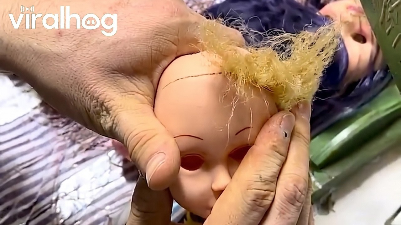 Curly Doll Hair Transformation || ViralHog