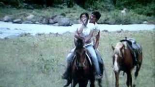 Regine Velasquez&#39; version of &quot;Looking Through the Eyes of Love&quot;