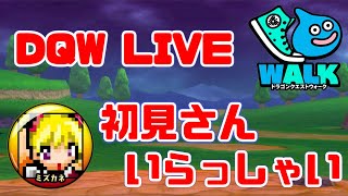 【ドラクエウォーク】広島の勇者！新規勢&初見さん大歓迎！【レベル４】