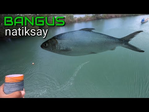 P2 - BANGUS ang NATIKSAY ko.. (catchNcook) SINIGANG...