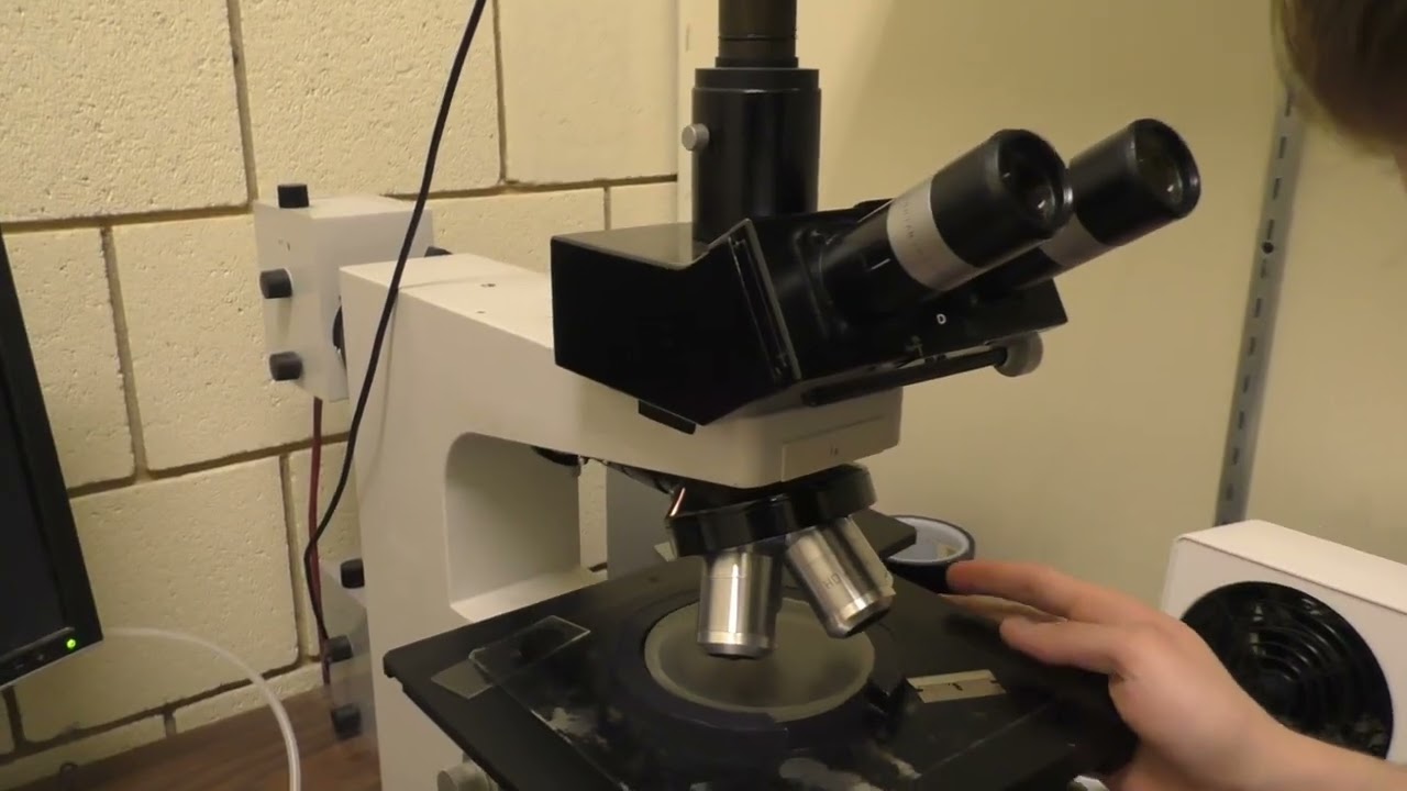 How It Is Done in the Lab: Scanning Electron Microscope
