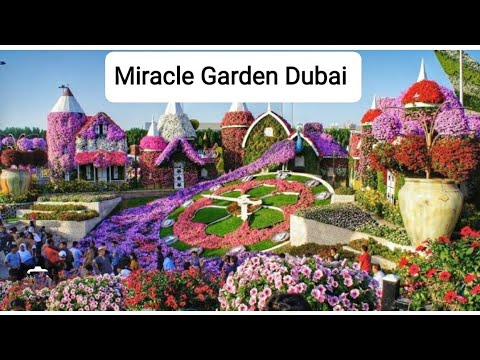 Dubai Miracle Garden in a Flash-2 Minutes of Floral Extravaganza!🌷📹दुनिया का सबसे ख़ूबसूरत गार्डन