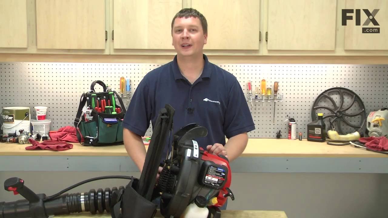 Replacing the Air Cleaner Asm