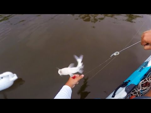 Most Painful Catfish Sting Ever (GRAPHIC)