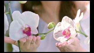 Download lagu Nourish Skin Ultimate   Memes mp3