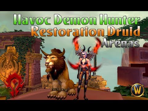 2v2 Arenas Havoc DH / Resto Druid