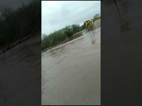 muito chuva em PINTADAS BAHIA vai ajudar muito