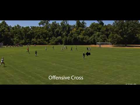 Seattle Showcase Highlights 
