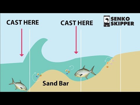 download lagu mp3 mp4 Seaside Fishing Guide, download lagu Seaside Fishing Guide gratis, unduh video klip Seaside Fishing Guide