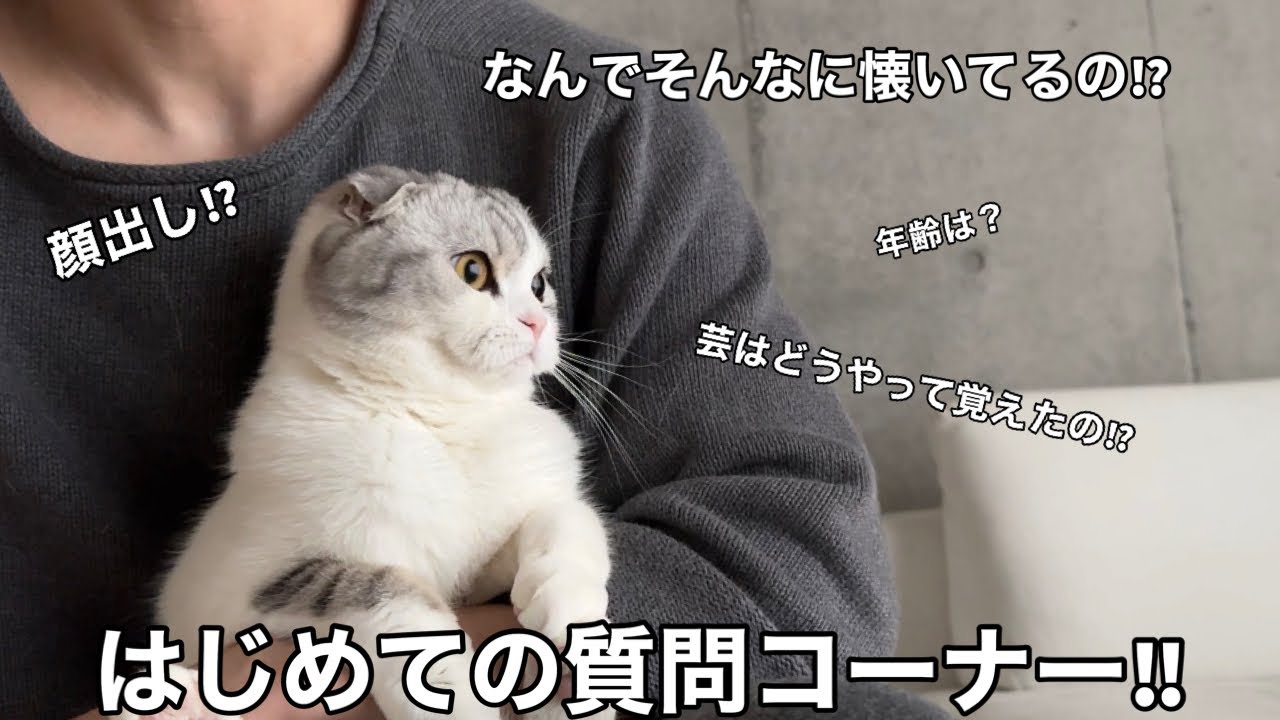 Muu