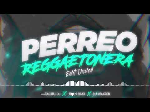 PERREO REGGAETONERA (EDIT UNDER) - JUAN RMX FT. DJ WALTER & FACUU DJ