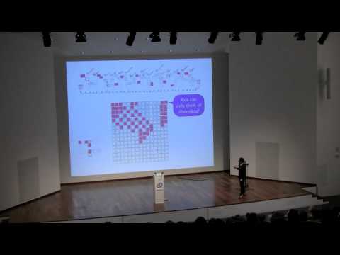 Emergence: Patterns on the Edge of Chaos - Manuel Marques Pita