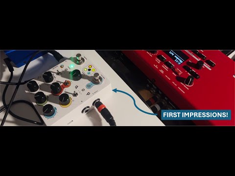 Butterfly Effects Dobbo - First Impressions! (No talking, just playing)