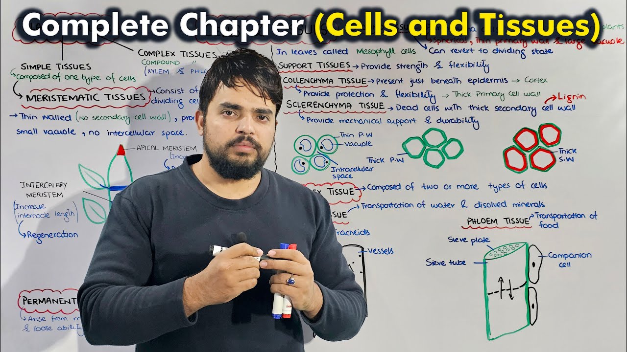 Cells and Tissues (complete chapter /One shot lecture)