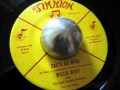 Willie West & The High Society Bros - She's So Wise