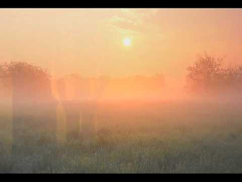 Allegri: Miserere Mei, Deus (The Choir of New College, Oxford)