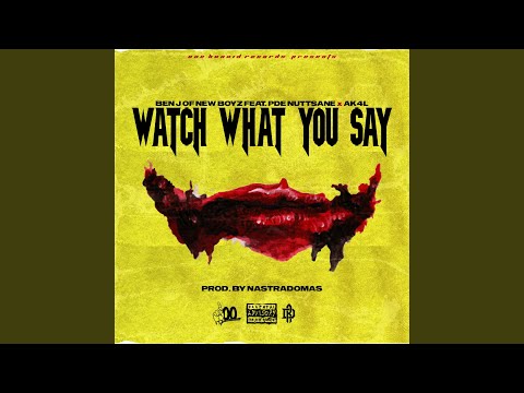 Watch What You Say (feat. PDE Nuttsane & Ak4l)