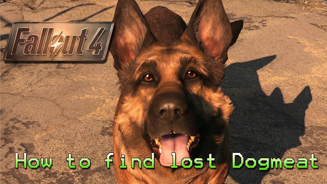 Where does dogmeat stay in sanctuary? Any Answer