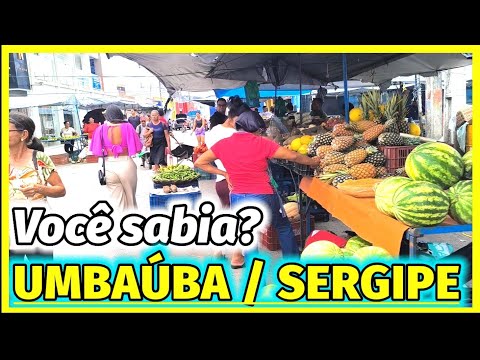 CONHEÇA UMBAÚBA SE E SUA FEIRA LIVRE, CIDADE COM ÓTIMO COMÉRCIO LOCALIZADO NA REGIÃO SUL DE SERGIPE 