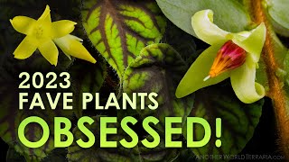 15 Plants I Obsessed Over in 2023!